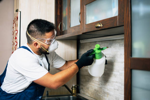 Best Affordable Pest Control Services  in Bingham Farms, MI