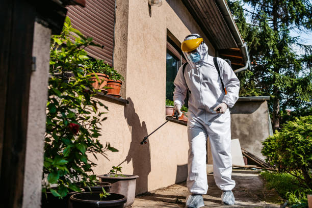 Best Insect Control  in Bingham Farms, MI
