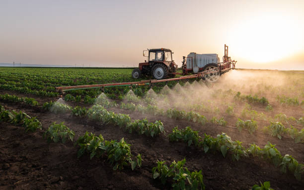 Best Local Pest Control Services  in Bingham Farms, MI