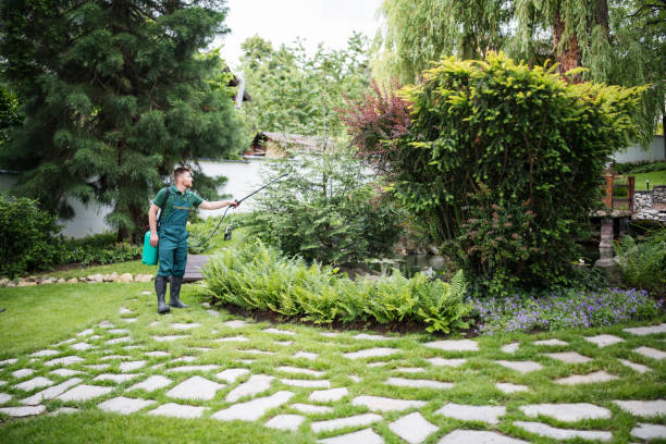 Best Best Pest Control Companies  in Bingham Farms, MI