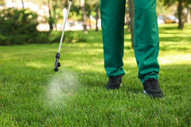 Best Commercial Pest Control Services  in Bingham Farms, MI