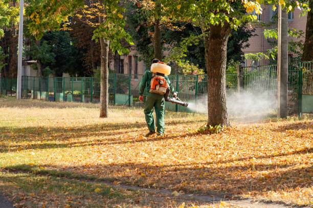 Best Exterminator Services  in Bingham Farms, MI