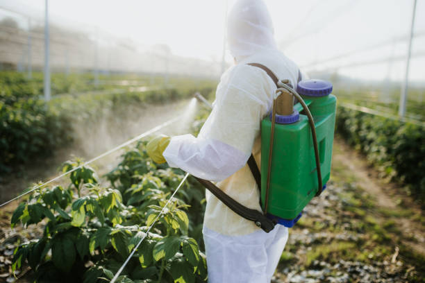 Best Pest Control for Restaurants  in Bingham Farms, MI